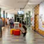 Top Town Planning Universities in South Africa (2026 Rankings)