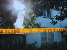 Hijacked Homes